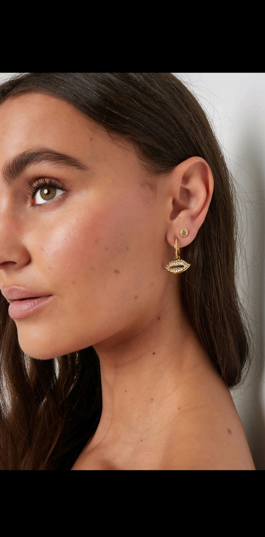Blow me a kiss 💋 earrings