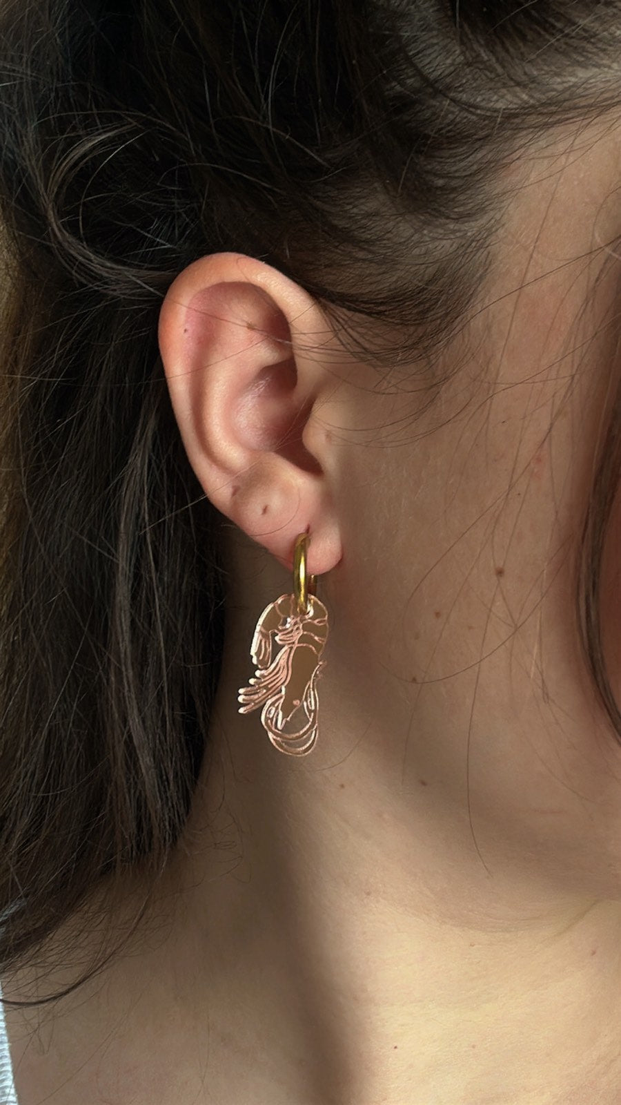 Sea You in Style! 🦐🦀- Plexiglass earrings - Create you pair