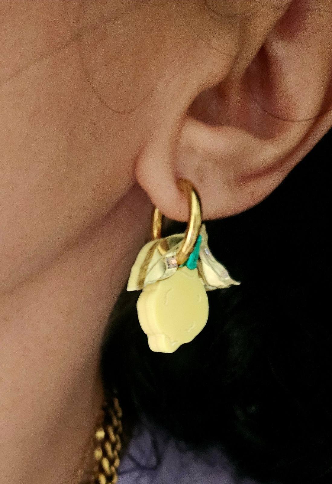 Handmade fruit plexiglass earrings - Create your pair!
