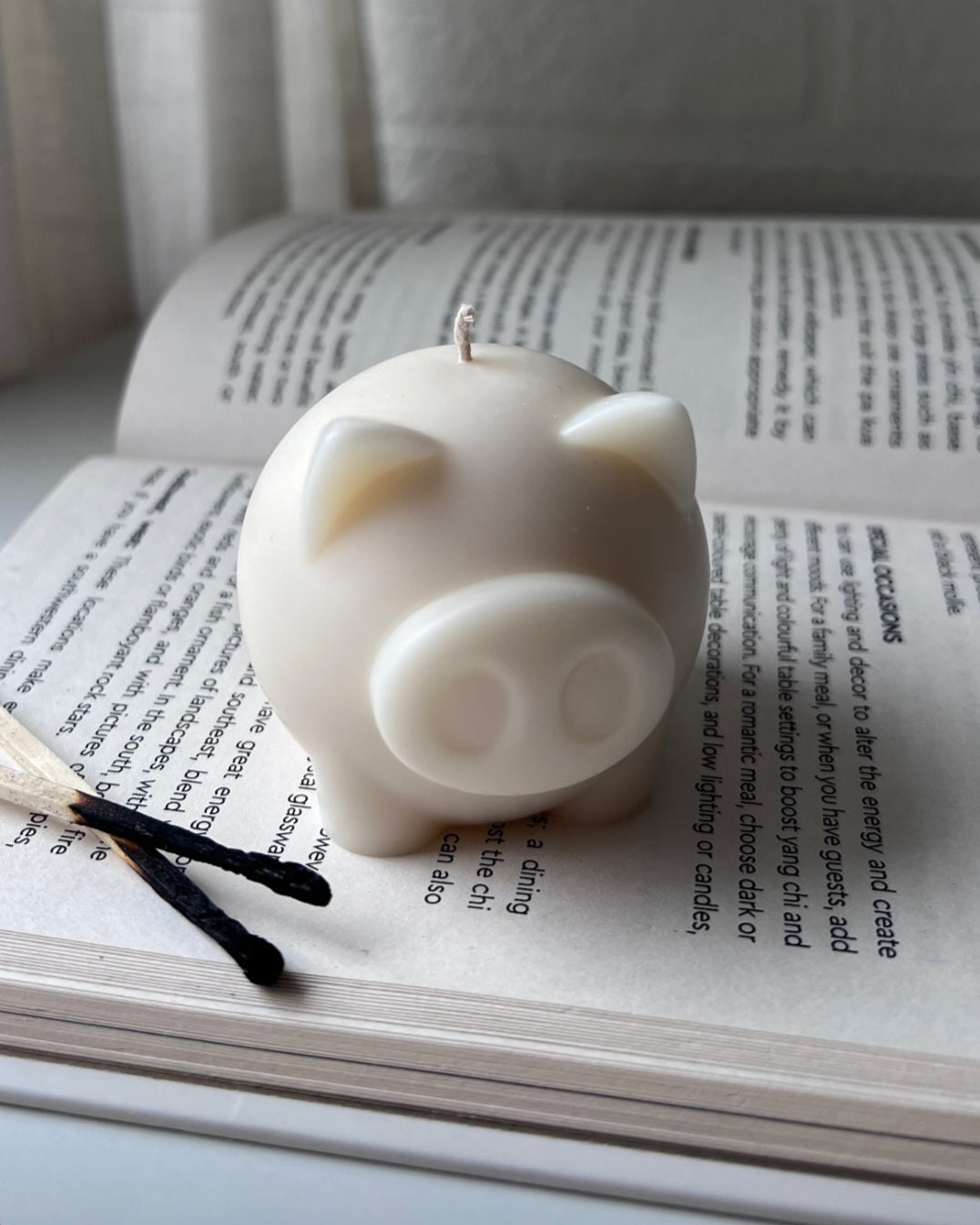 Piggy 🐷 Candle Soy Wax