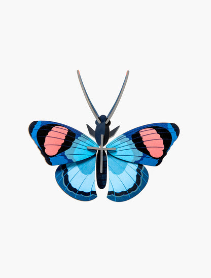 Peacock Butterfly Wall Decor