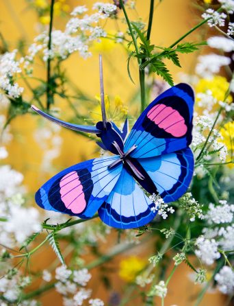 Peacock Butterfly Wall Decor