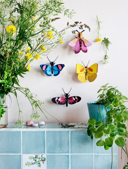 Peacock Butterfly Wall Decor