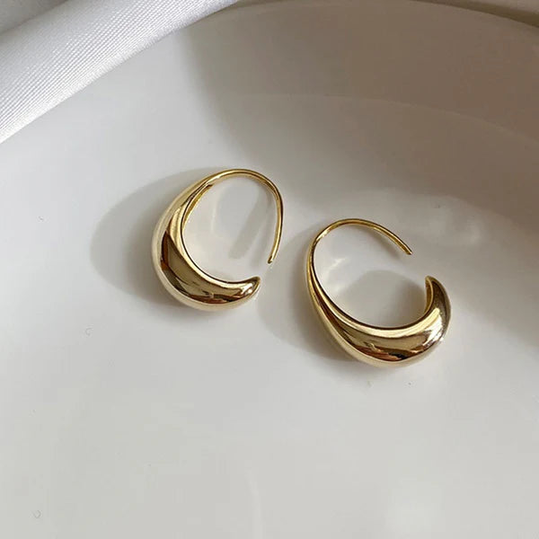 Small Golden Hoops Earrings